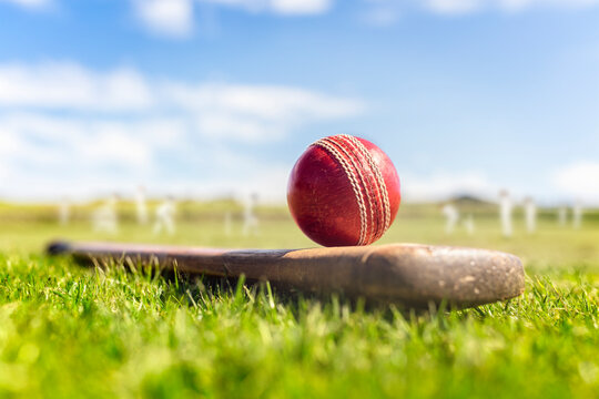 Cricket